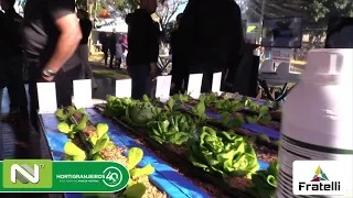 NTV: Hortigranjeiros 40 Anos - Tecnologia no plantio e manejo de hortaliças