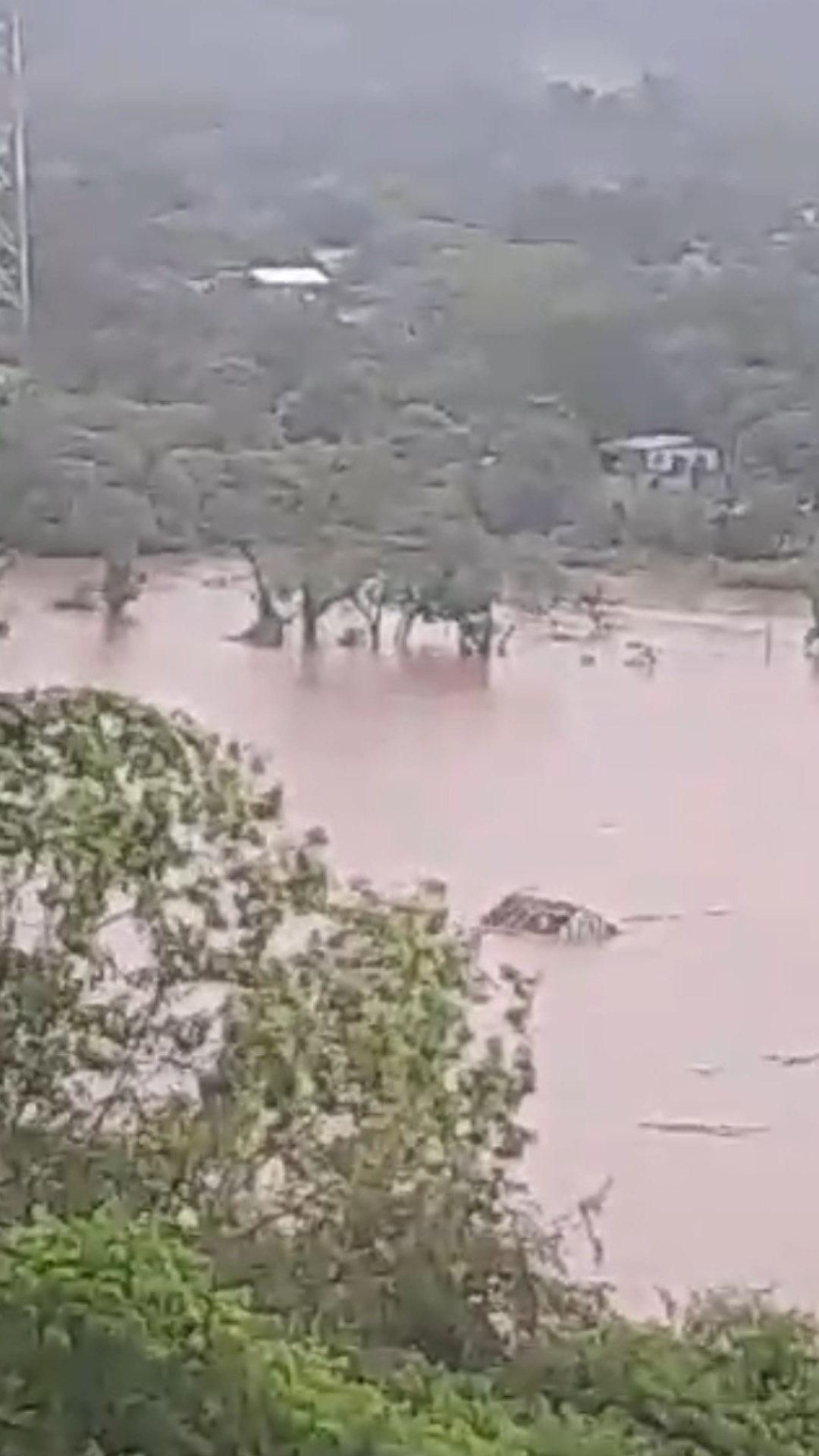    Portomauenses registram momento em que casa é levada pelas águas do Rio Uruguai