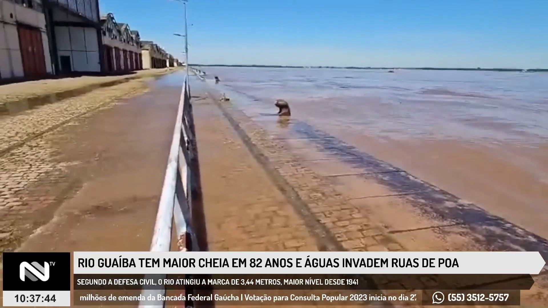 Rio Guaíba tem maior cheia em 82 anos e águas invadem ruas de Porto Alegre 