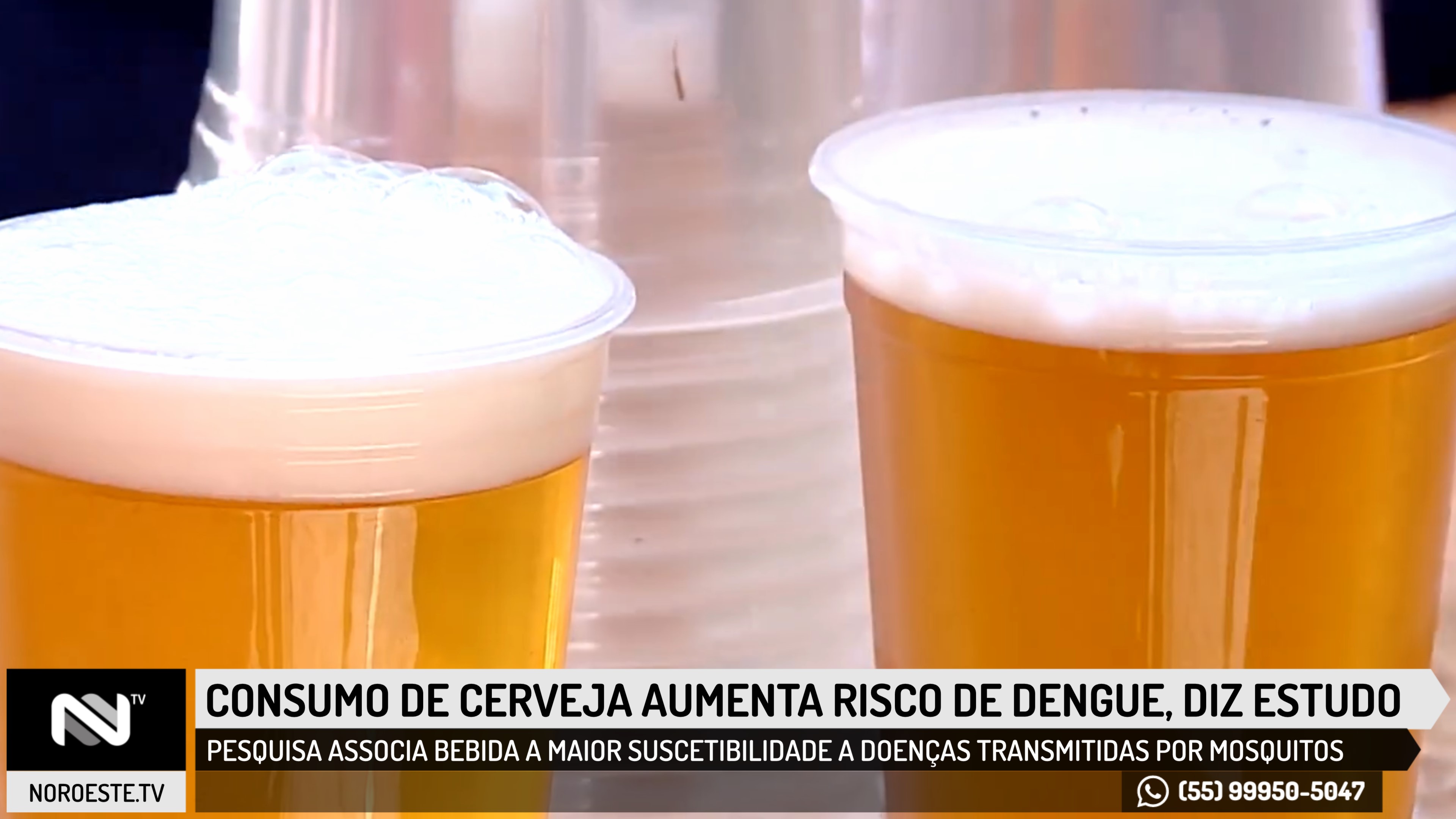 Consumo de cerveja aumenta risco de dengue, diz estudo