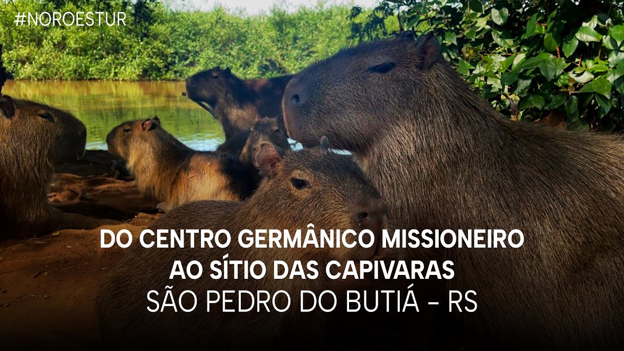 T1 E45 | Do Centro Germânico Missioneiro ao Sítio das Capivaras - São Pedro do Butiá/RS