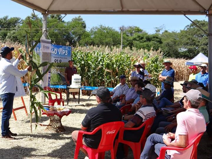 Encontro do Milho mobiliza agricultores e técnicos da Fronteira Noroeste e Missões em Santa Rosa