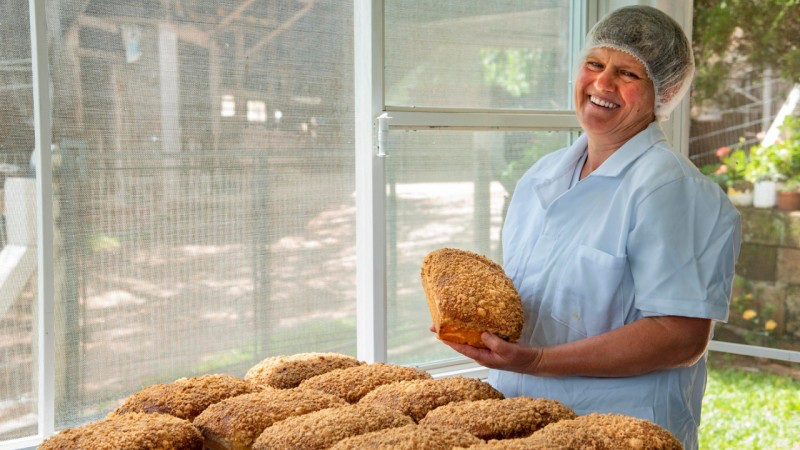 Mais de 4 mil agroindústrias familiares serão mapeadas em censo no Rio Grande do Sul
